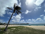 img0021.jpg