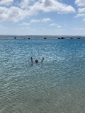 img0022.jpg