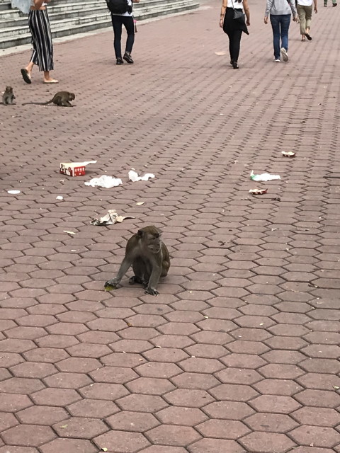 img0020.jpg