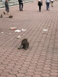 img0020.jpg