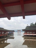 img0003.jpg