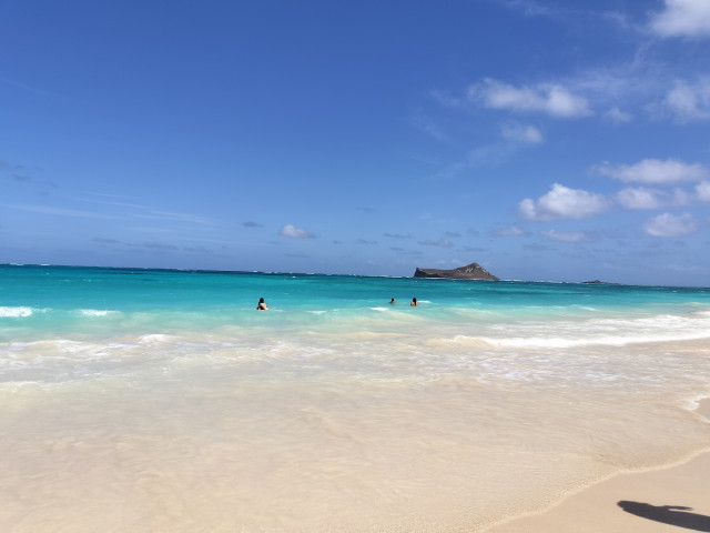 img0021.jpg