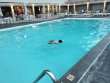 img0012.jpg